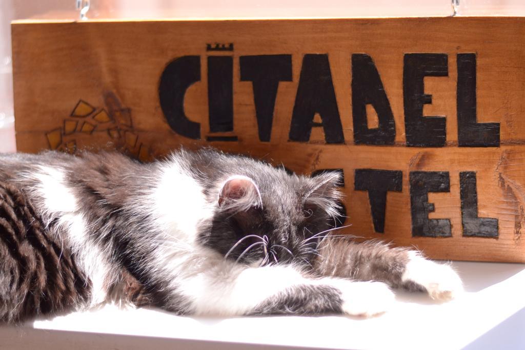 Citadel Hostel Alba Iulia Buitenkant foto